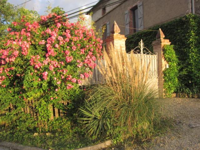 לינה וארוחת בוקר Vieux  La Demeure De La Coste מראה חיצוני תמונה